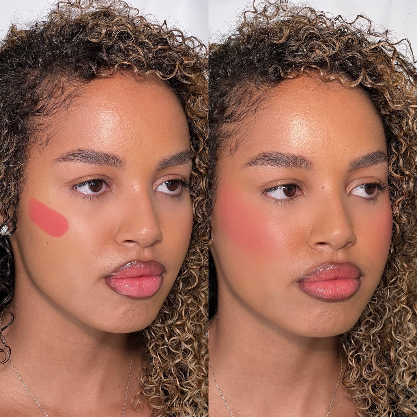 Multi Stick Blush - Cheek + Lip